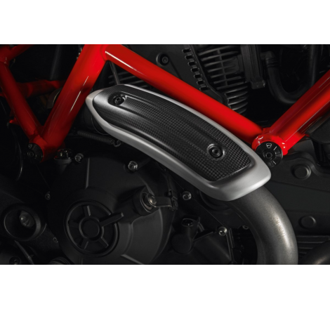 Carbon Heat Shield For Monster - 96980971A