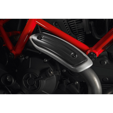 Carbon Heat Shield For Monster - 96980971A