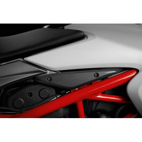 Fasce Laterali Sotto Serbatoio In Fibra Di Carbonio Per Hypermotard - 96989941A