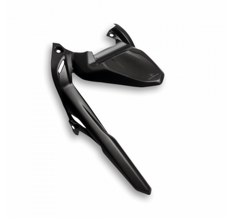 Carbon Rear Fender For Monster - 96981621AA
