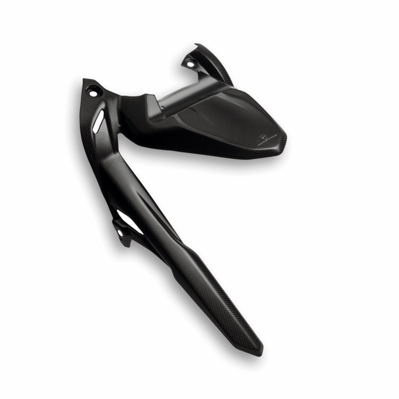 Carbon Rear Fender For Monster - 96981621AA