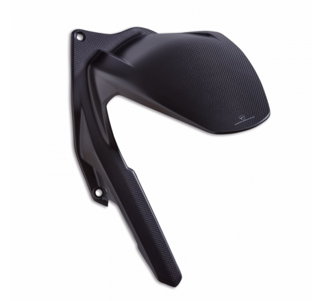 Carbon Rear Mudguard For Panigale - 96981911AA