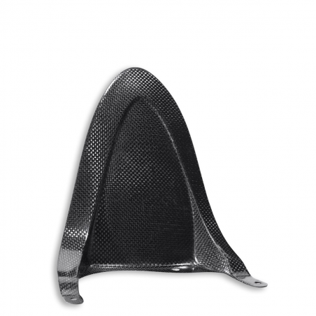 Carbon Rear Fin For Hypermotard - 969A09808B