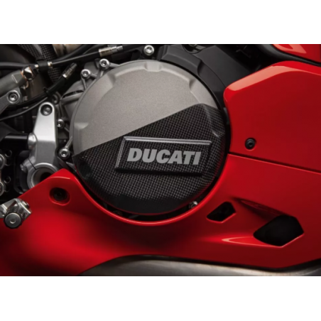 copy of Carbon Single Sided Swingarm Cover For Monster - 96980351A