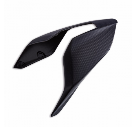Codone Monoposto In Carbonio Per Panigale V4 - 96981941AA