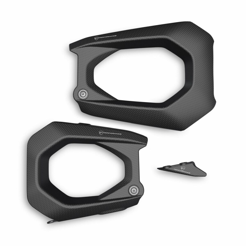 Carbon Swingarm Protector - 96981811AA