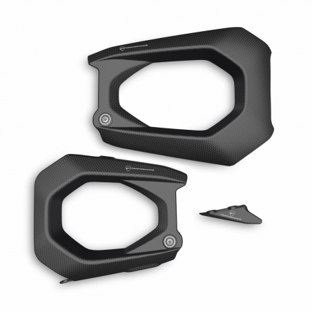 Carbon Swingarm Protector - 96981811AA