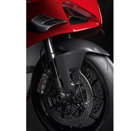 Carbon Front Mudguard - 96989971A