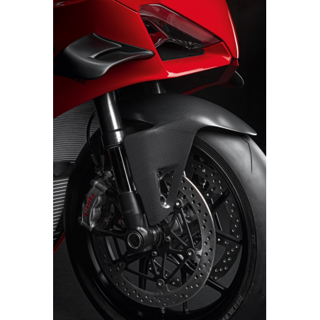 Carbon Front Mudguard - 96989971A