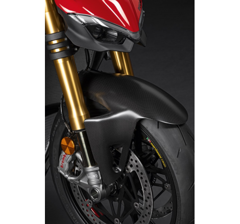 Carbon Front Mudguard - 96989971A