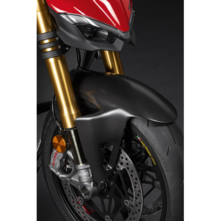 Carbon Front Mudguard - 96989971A