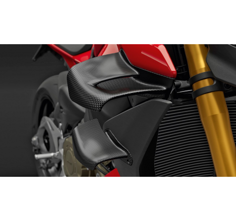 Carbon Wings For Streetfighter V4 - 96982121AA