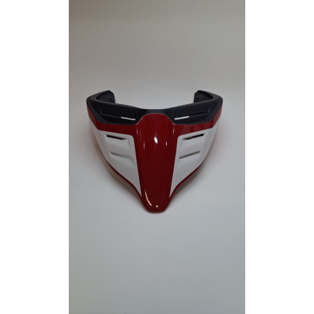 Codone Monoposto stradale / Racing Evolution Verniciato Bicolore