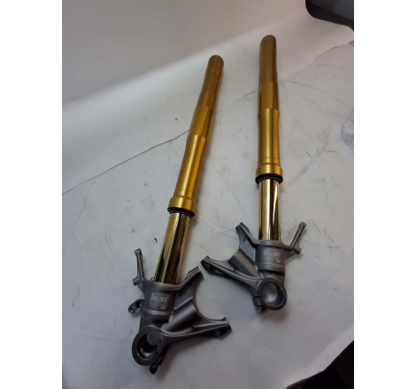 OHLINS TTX PANIGALE V4S '25...