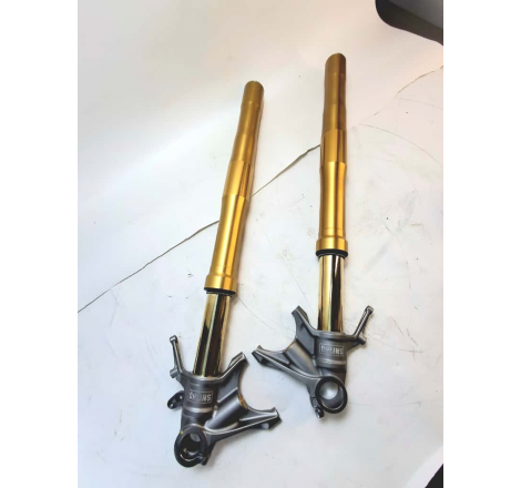 OHLINS TTX PANIGALE V4R '25...