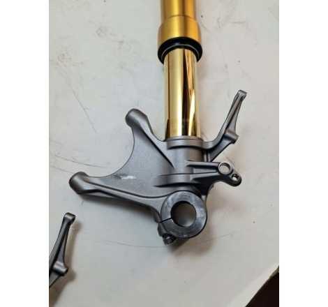OHLINS TTX PANIGALE V4R '25 FRONT FORK - SL956