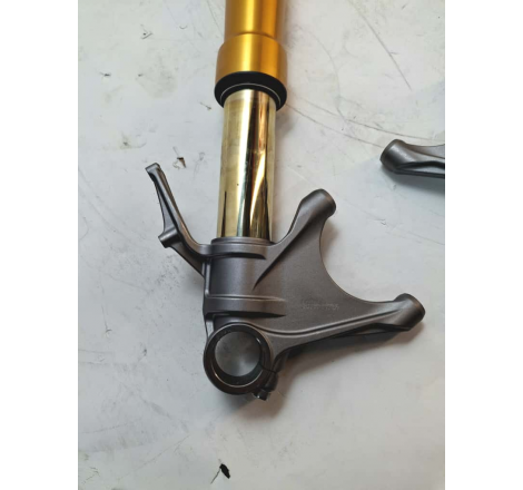 OHLINS TTX PANIGALE V4R '25 FRONT FORK - SL956