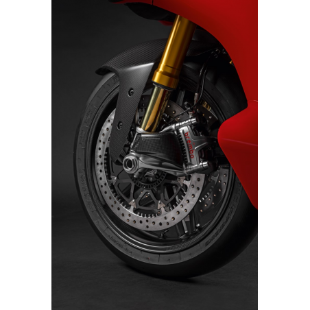 PARAFANGO CARBONIO PANIGALE V4 - 96981841BA