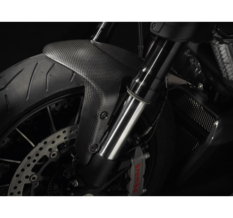 Parafango Anteriore In Carbonio Per Diavel - 96903610A
