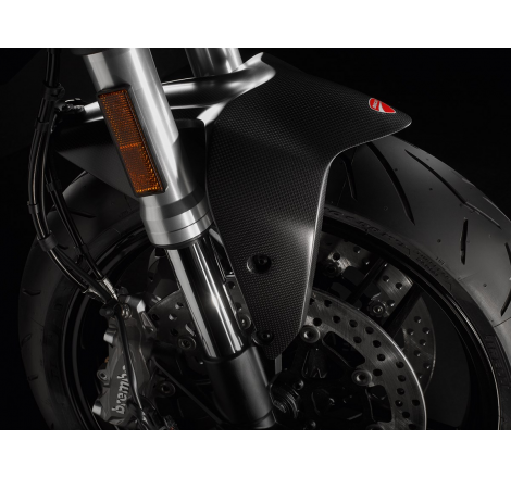 Carbon Front Mudguard - 96980991A