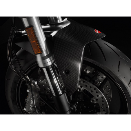 Carbon Front Mudguard - 96980991A