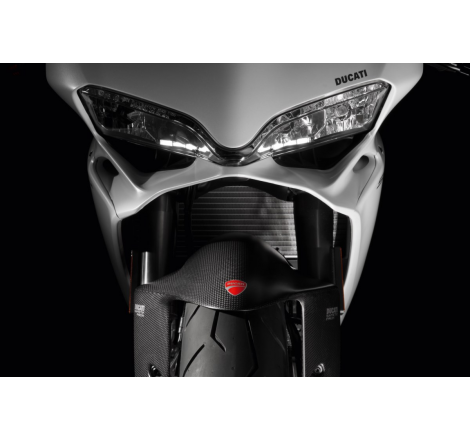 Carbon Front Mudguard For Panigale - 96450511B