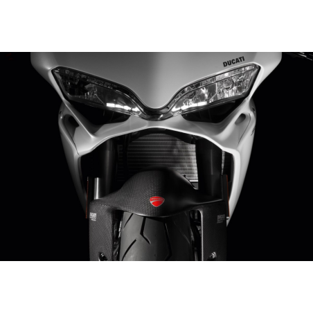 Carbon Front Mudguard For Panigale - 96450511B