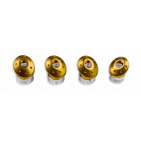 Set Di Tappi Telaio In Alluminio Dal Pieno Color Oro Per Monster - 97380671A