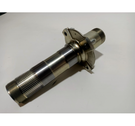 Rear Wheel Axle - 819z0021A
