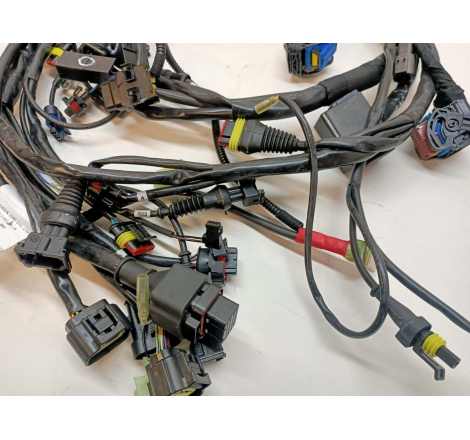 Cablaggio Elettrico Per Monster - 51014273A