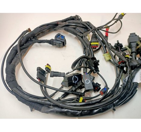 Cablaggio Elettrico Per Monster - 51014273A