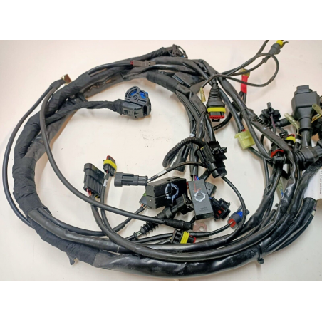 Cablaggio Elettrico Per Monster - 51014273A