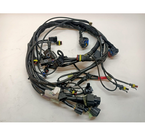 Cablaggio Elettrico Per Monster - 51014273A