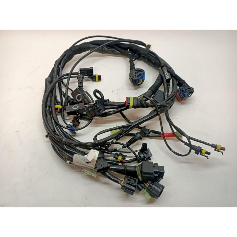 Cablaggio Elettrico Per Monster - 51014273A