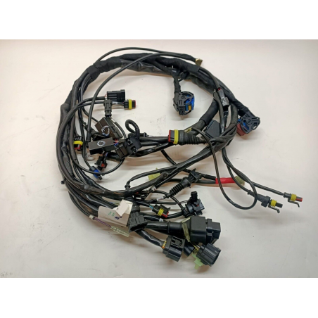 Cablaggio Elettrico Per Monster - 51014273A
