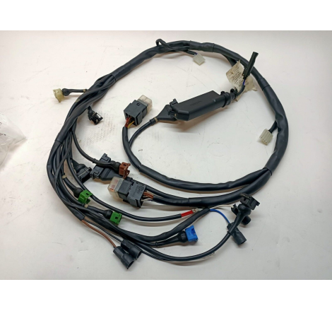 Electrical Wiring Harness For 851 S (MY 1991) - 51010091B