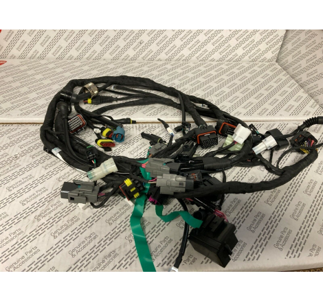 Cablaggio Principale Per Panigale 1199 - 51017911A