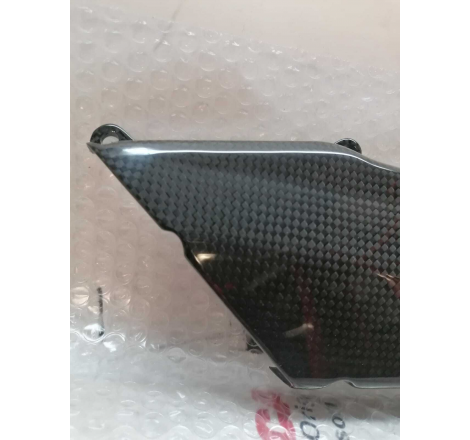 Copri Cinghia In Carbonio Orizzontale Per Hypermotard 1100 S