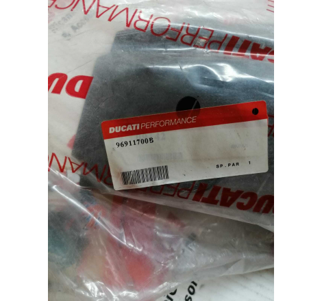 Tegolino Porta Targa In Carbonio Per Monster 1 Serie - 96911700B