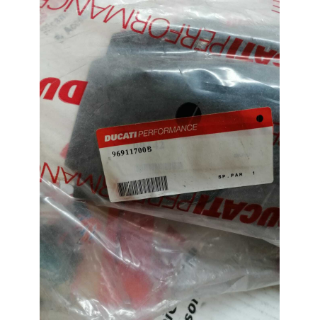 Tegolino Porta Targa In Carbonio Per Monster 1 Serie - 96911700B